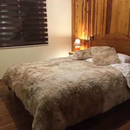Ruka Pucon Hostel Экстерьер фото